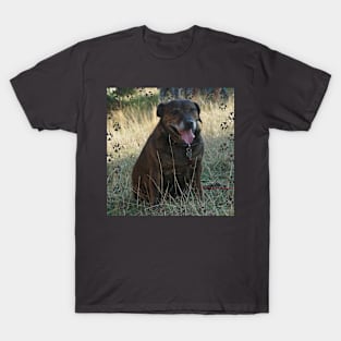 Bob the Dog T-Shirt